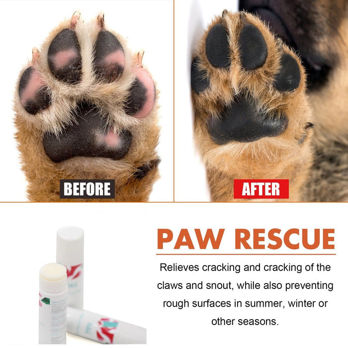 PawGuard Paw Balm for Dogs & Cats – Natural Edible Moisturizing Balm