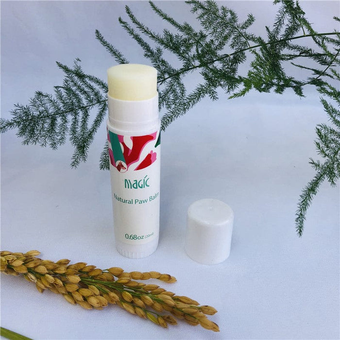 PawGuard Paw Balm for Dogs & Cats – Natural Edible Moisturizing Balm