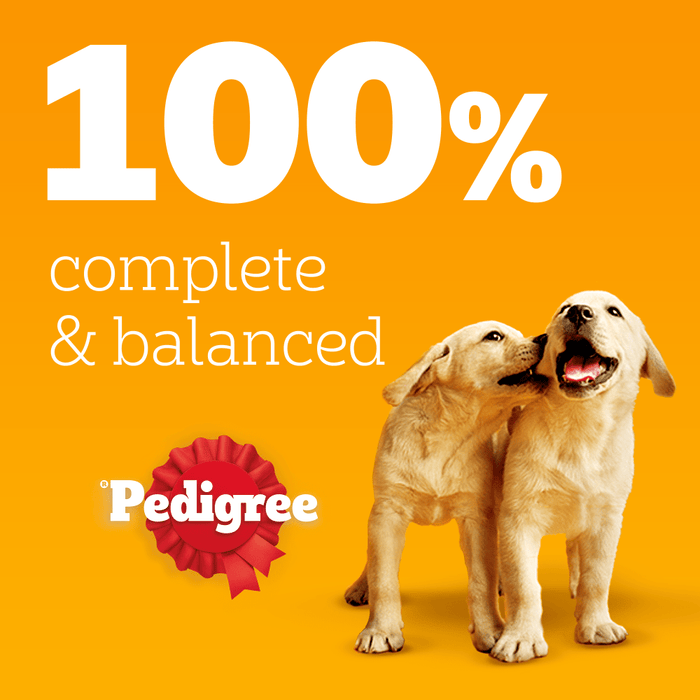 Pedigree Puppy Meat Selection In Jelly Wet Dog Food Tins 6 x 400g