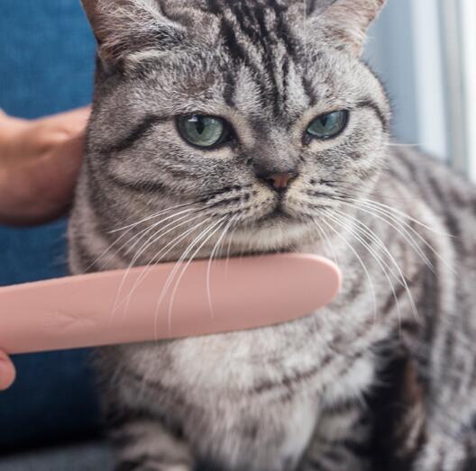 Pet Comb Brush for Grooming and Detangling Fur