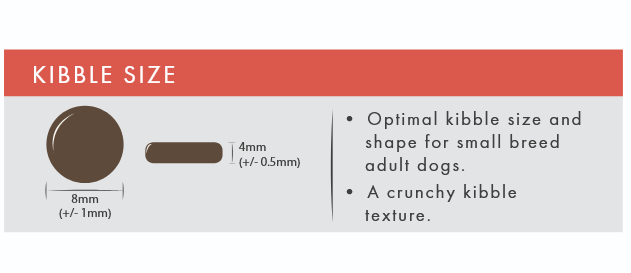 Kibble size for small breed dogs image