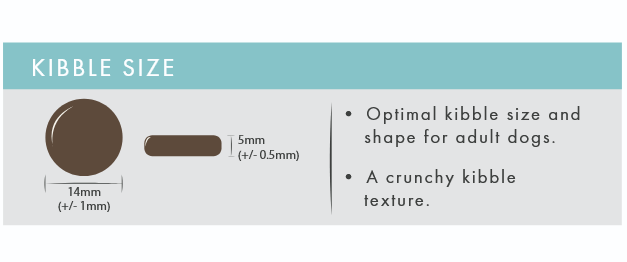 Pet Connection Haddock with Sweet Potato & Parsley Adult Hypoallergenic Grain Free Dry Dog Food