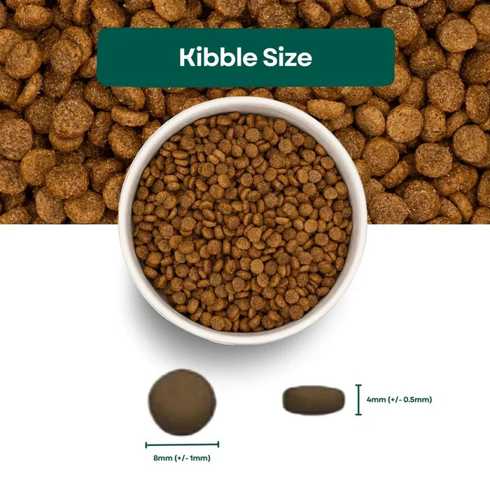 Pet Connection Salmon & Potato Small Breed Adult Hypoallergenic Dry Dog Food
