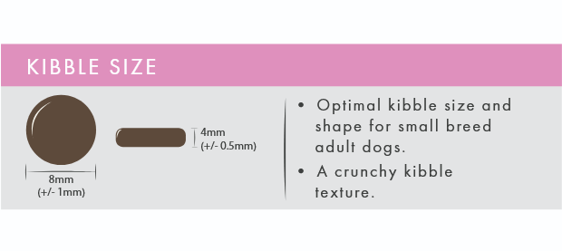 Pet Connection Salmon & Trout Small Breed Adult Hypoallergenic Grain Free Dry Dog Food