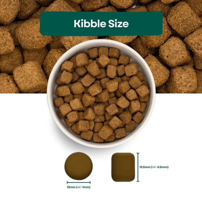 Pet Connection Super Premium Chicken & Rice Adult Hypoallergenic Dry Dog Food