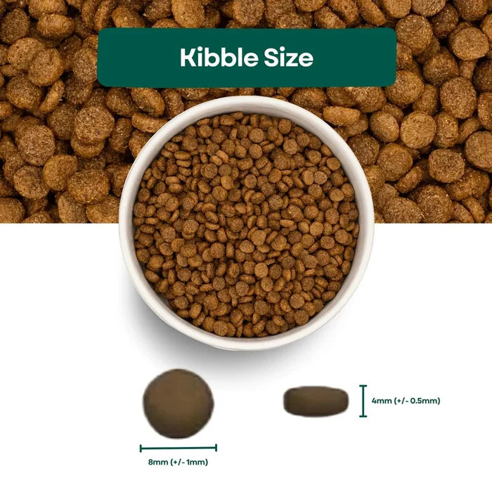 Pet Connection Super Premium Chicken & Rice Small Breed Adult Hypoallergenic Dry Dog Food
