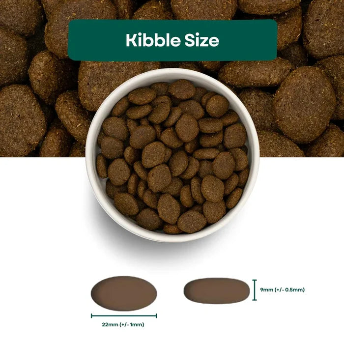Pet Connection Super Premium Salmon & Potato Adult Hypoallergenic Dry Dog Food