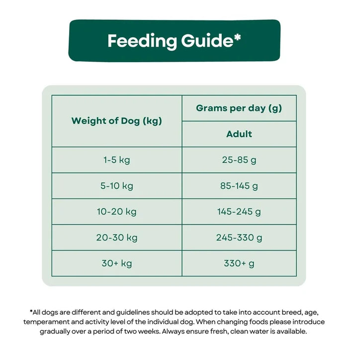 Pet Connection Super Premium Salmon & Potato Adult Hypoallergenic Dry Dog Food