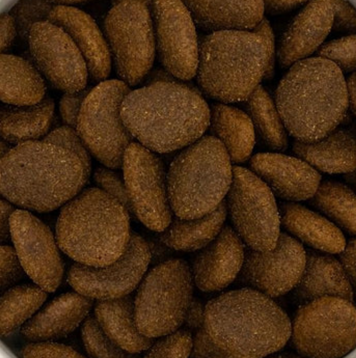 Pet Connection Super Premium Salmon, Trout, Potato & Skin-Soothe Adult Hypoallergenic Dry Dog Food