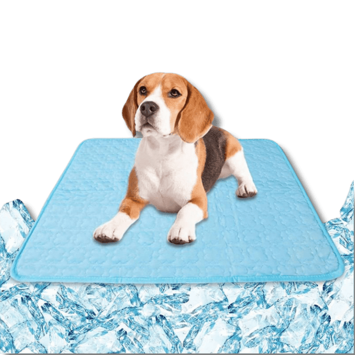 Pet Cooling Mat for Dogs & Cats – Breathable Summer Cooling Pad