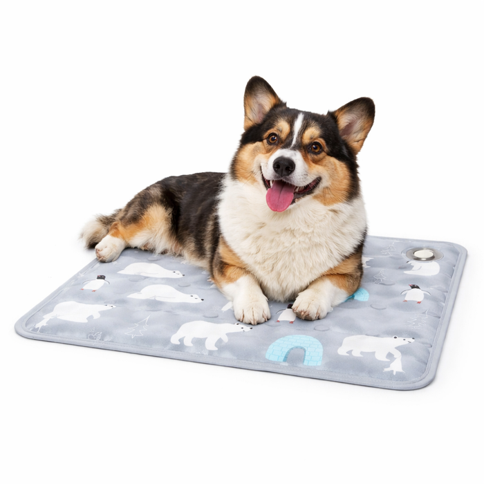 Pet Cooling Water Mat for Dogs & Cats – Water‑Fillable Cooling Pad for Summer Heat Relief