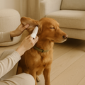 Pet Ear Cleaning Finger Wipes for Dogs & Cats | Removes Earwax | Gentle Green Tea Formula