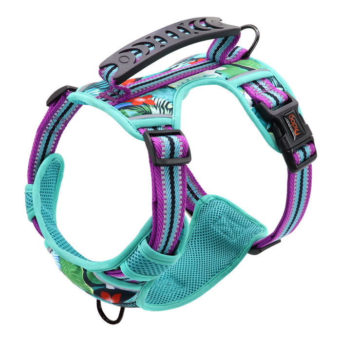 Pet Leash and Chest Harness for Small to Large Pets