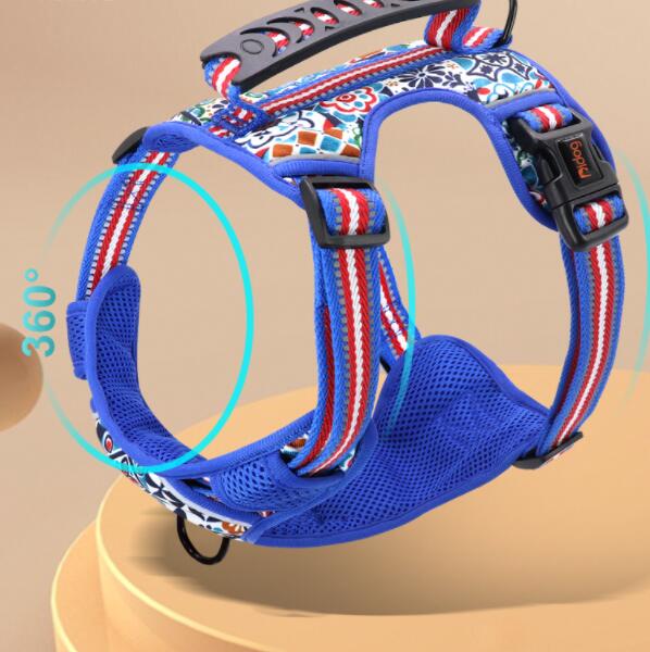 Pet Leash and Chest Harness for Small to Large Pets