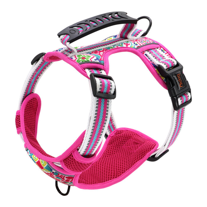 Pet Leash and Chest Harness for Small to Large Pets