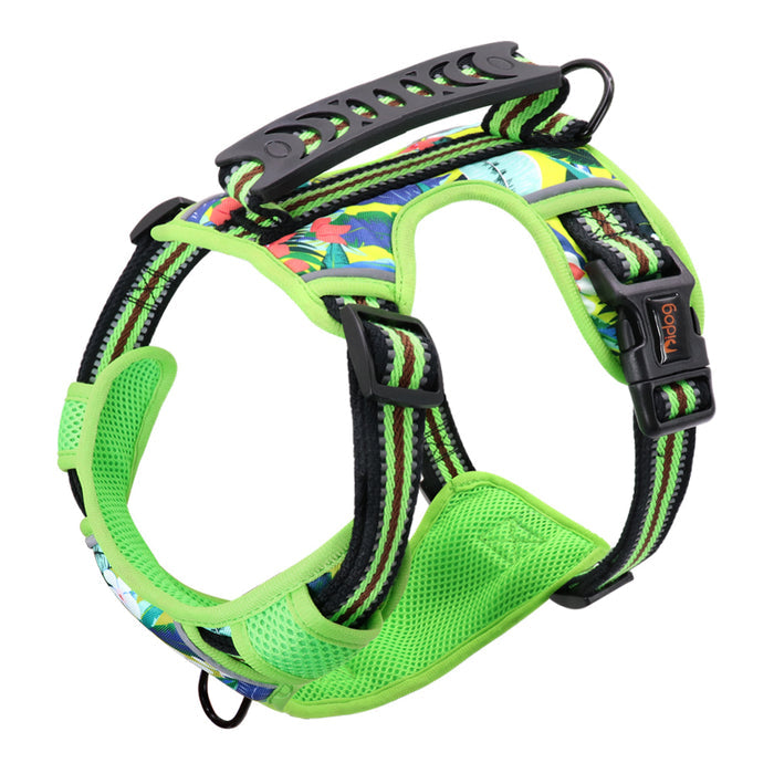 Pet Leash and Chest Harness for Small to Large Pets