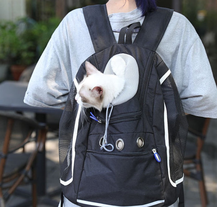Pet Outing Backpack for Travel