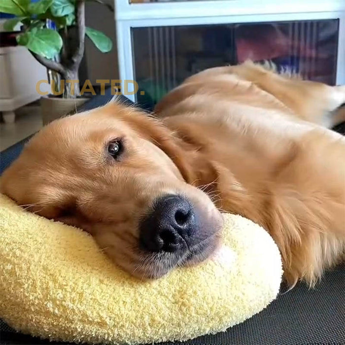 Pet Pillow Beds | Plush Tranquil Cushion – Anxiety Relief & Cozy Support