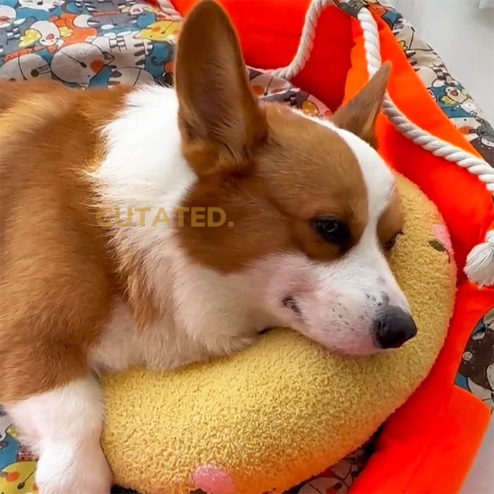 Pet Pillow Beds | Plush Tranquil Cushion – Anxiety Relief & Cozy Support