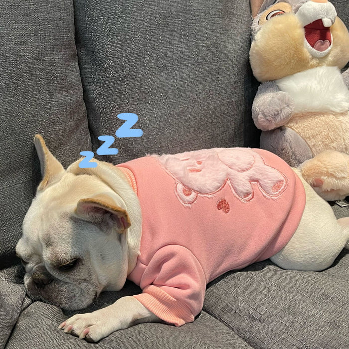 Pet Plush Princess Sweater