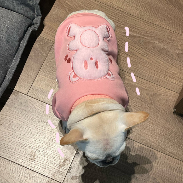 Pet Plush Princess Sweater