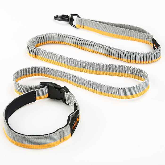 Pet Running Traction Belt with Explosion-Proof Handheld Rope