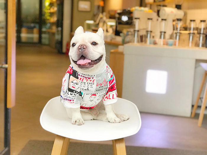 Pet Sweater Coat for Small Breeds
