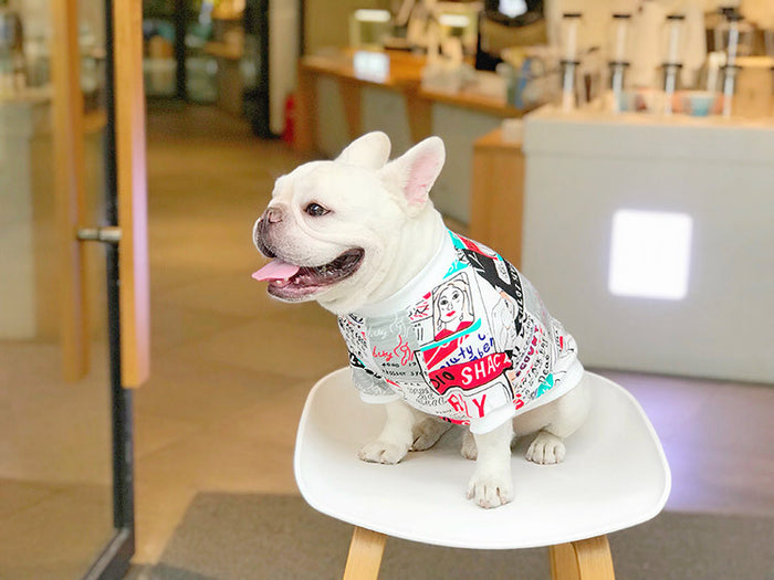 Pet Sweater Coat for Small Breeds