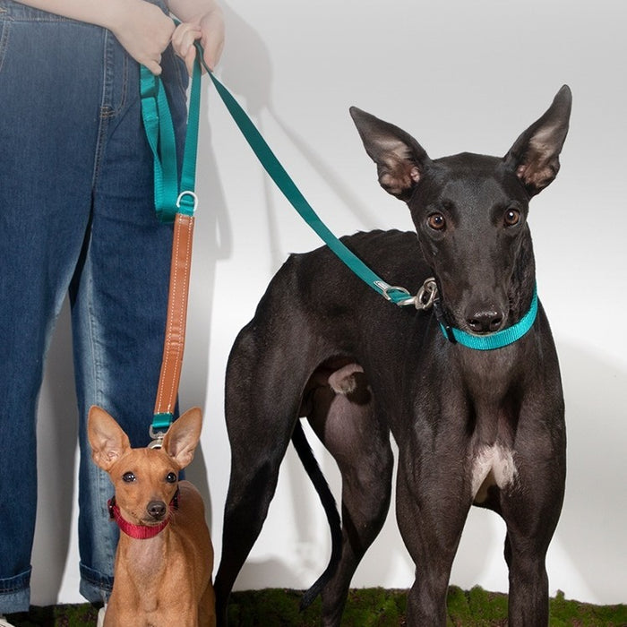 Pet Traction Rope Chain with Knitted Belt for Large Pets