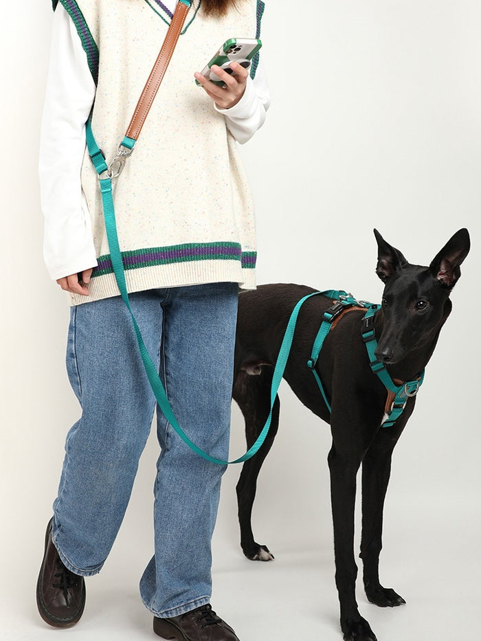 Pet Traction Rope Chain with Knitted Belt for Large Pets