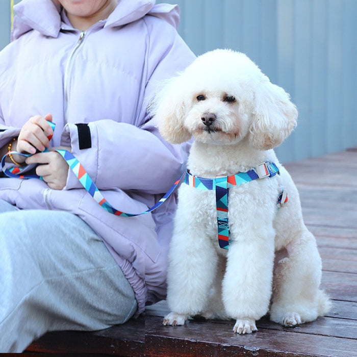 Pet Vest with Printed Design and Haulage Rope Set