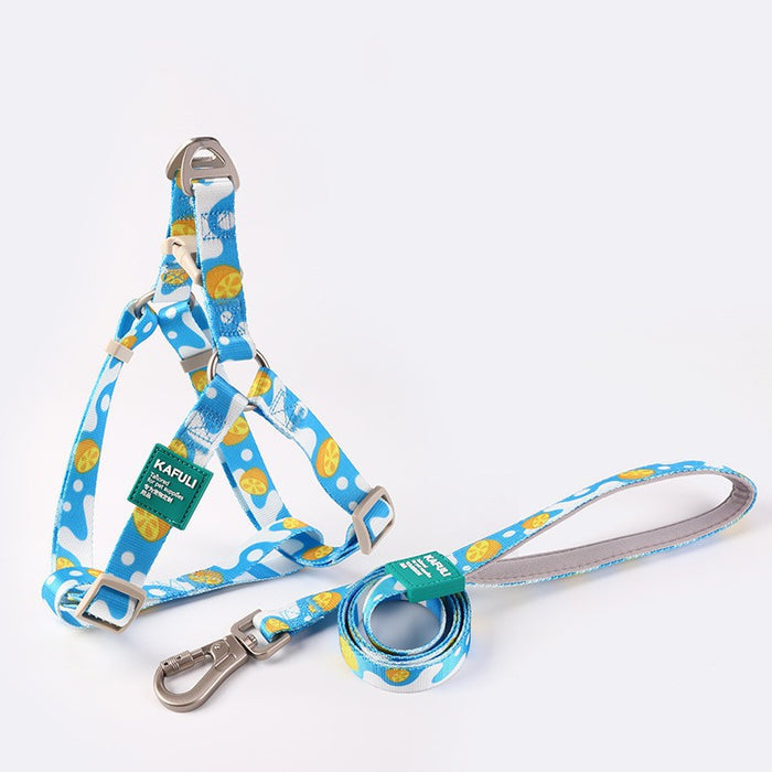 Pet Vest with Printed Design and Haulage Rope Set