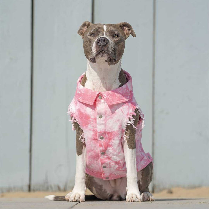 Pet Washed Denim Jacket Clothes