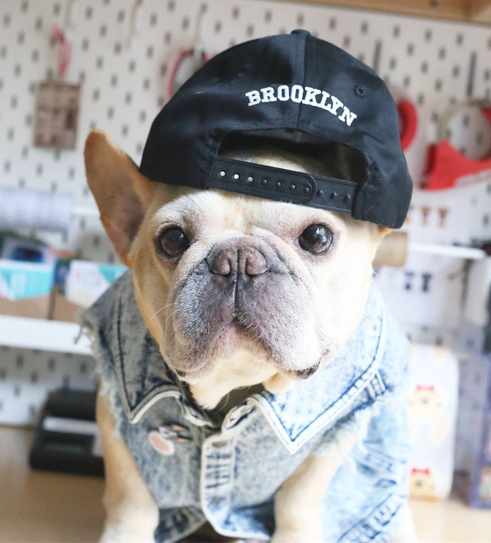 Pet Washed Denim Jacket Clothes