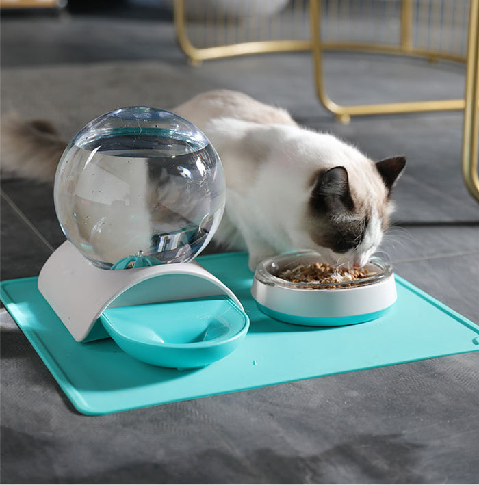 Pet Water Feeder