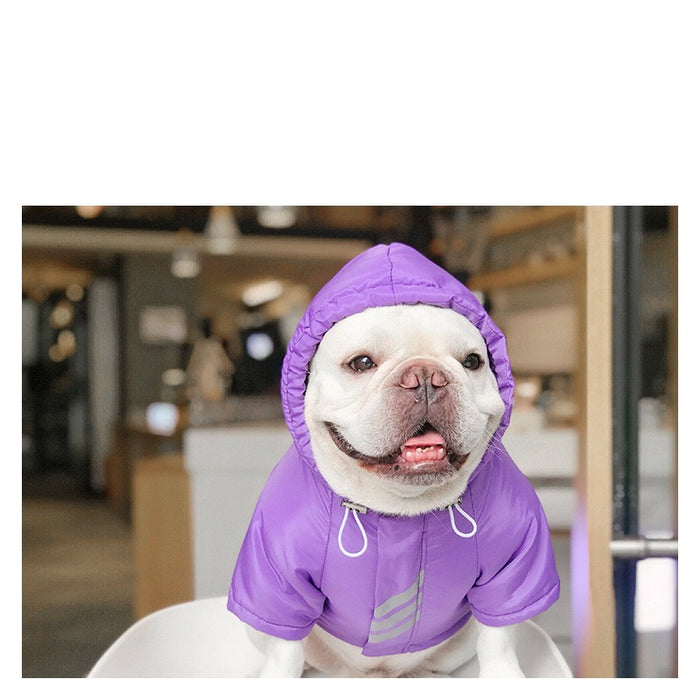 Pet Winter Cotton-Padded Jacket, Warm Clothes