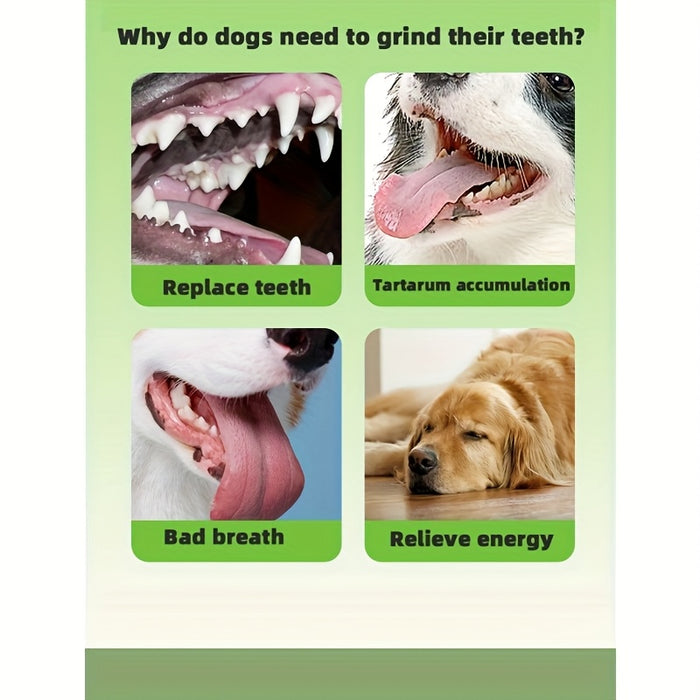 Petal Dog Chew Toy – Durable Interactive Teething & Dental Training Toy