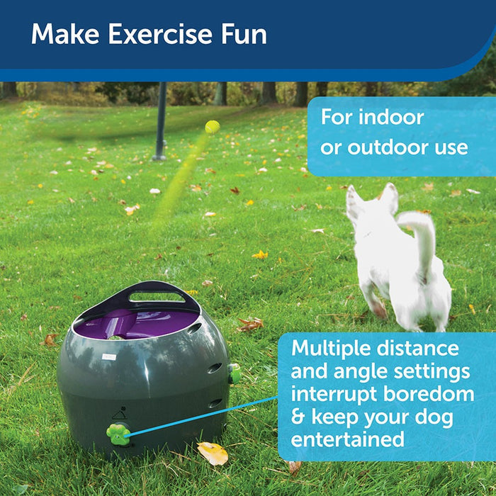 PetSafe Automatic Ball Launcher Dog Toy
