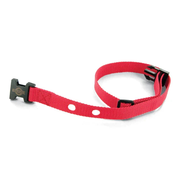 Petsafe | Replacement Dog Collar | Nylon 2 Hole Receiver Strap