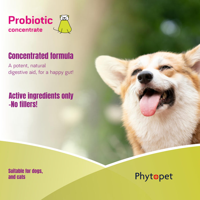 Phytopet | Digestive Supplement | Probiotic & Prebiotic Concentrate