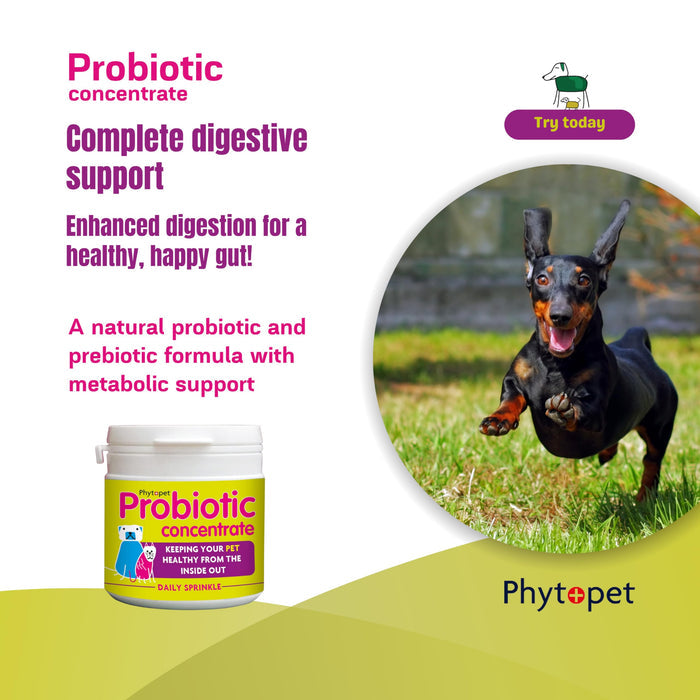 Phytopet | Digestive Supplement | Probiotic & Prebiotic Concentrate