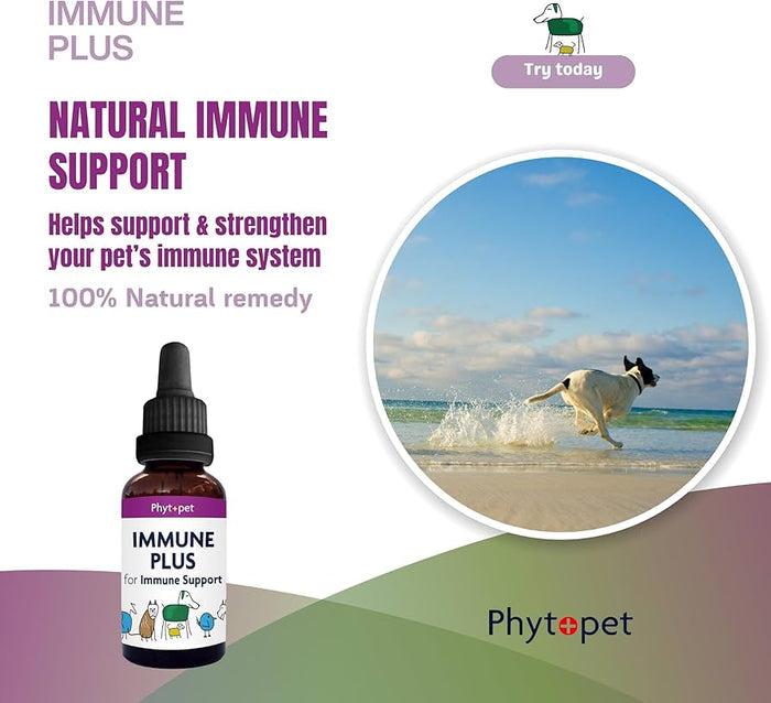 Phytopet | Herbal Remedy For Immune System Support | Immune Plus