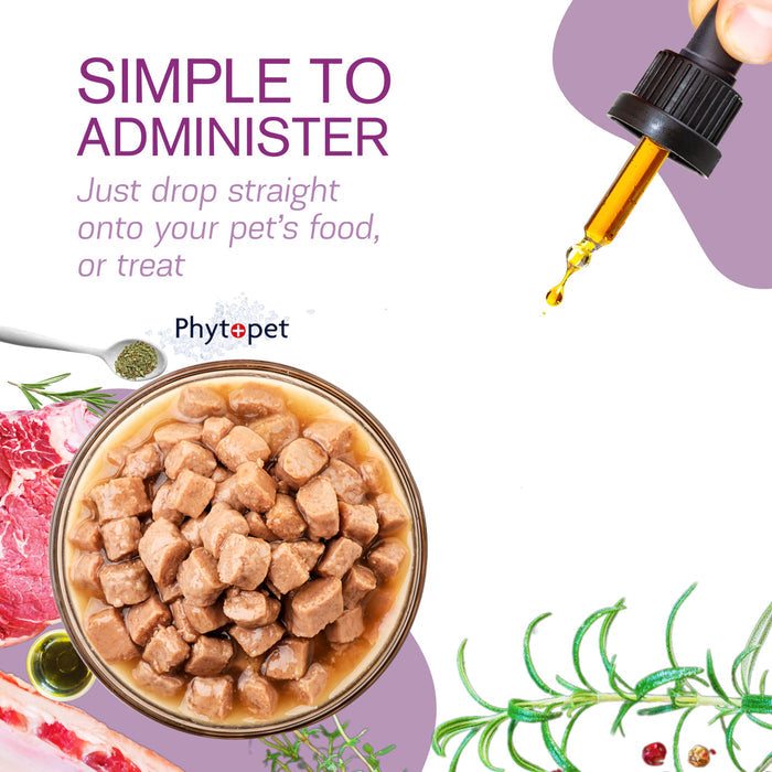 Phytopet | Herbal Remedy For Immune System Support | Immune Plus