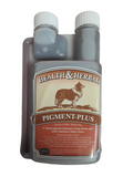 Pigment Plus | Pigment Correction & Immune Booster Supplement for Dogs by Animal Health Company