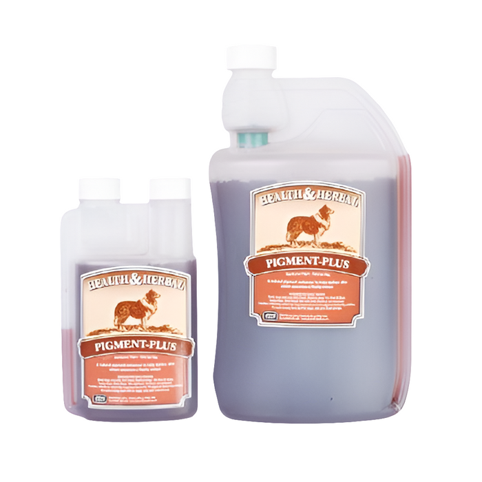 Pigment Plus | Pigment Correction & Immune Booster Supplement for Dogs by Animal Health Company