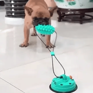 Playbrush Suction Cup Dog Chew Toy - Teeth Cleaning Interactive Tugger