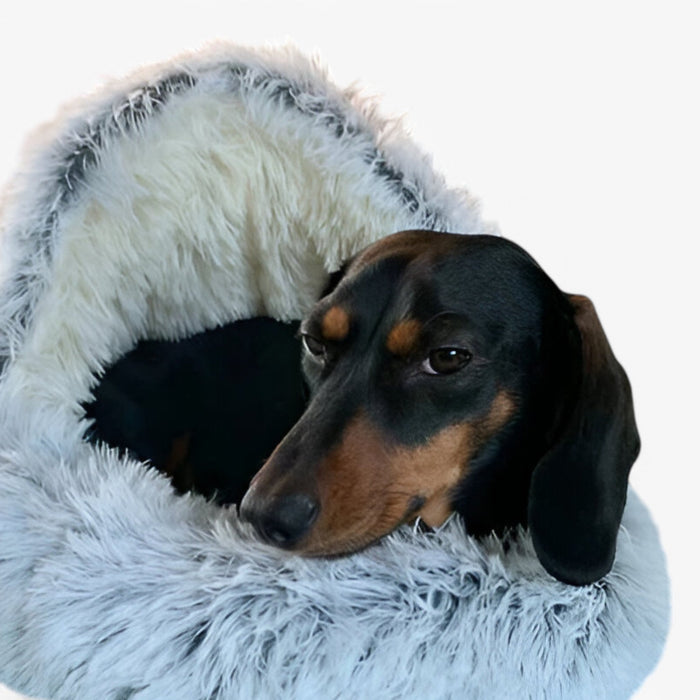 Plush Covered Pet Bed – Ultimate Warmth & Comfort | CozyNest