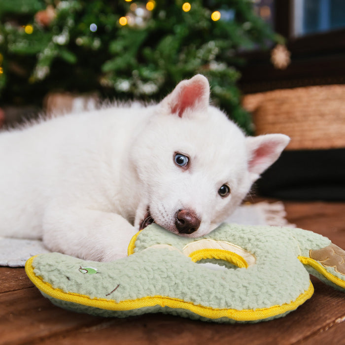Plush Snake Ring Dog Toy for Interactive Chewing & Tug Play