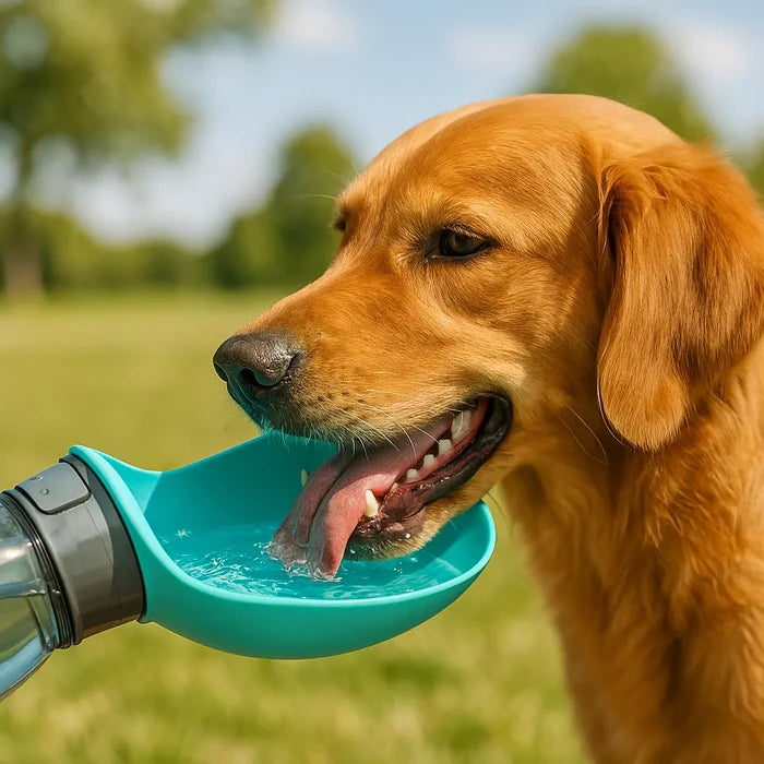 Portable Dog Water Bottle for Walking – Leak Proof Travel Dog Water Bottle