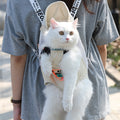 Portable Pet Backpack for Travel and Carrying